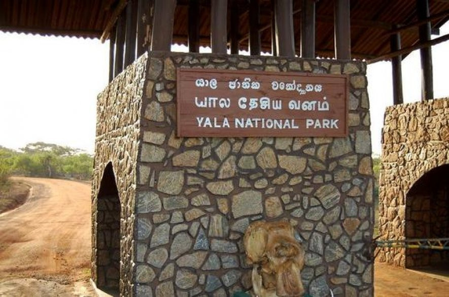 Summer Dew Tours-加勒必去景点