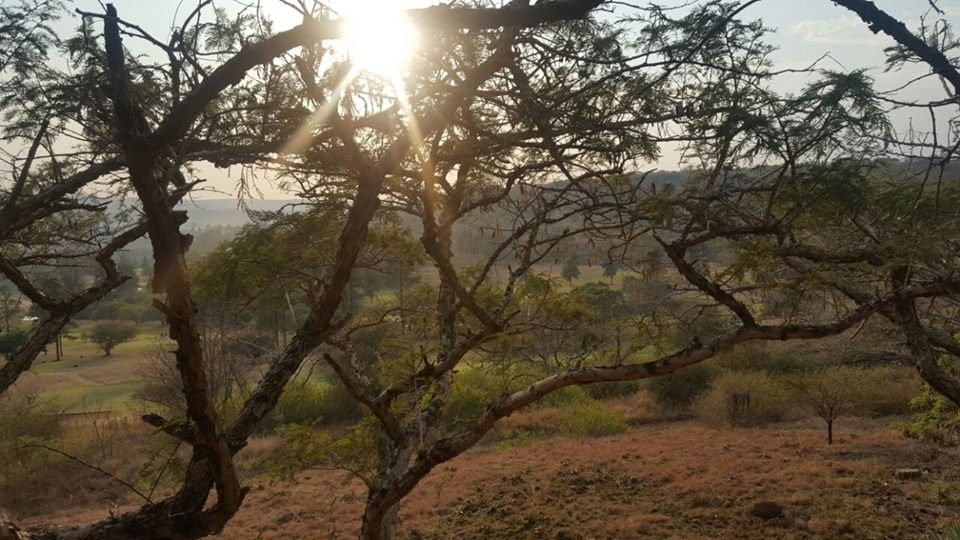 Thorn Tree Lodge & Conference Centre主图