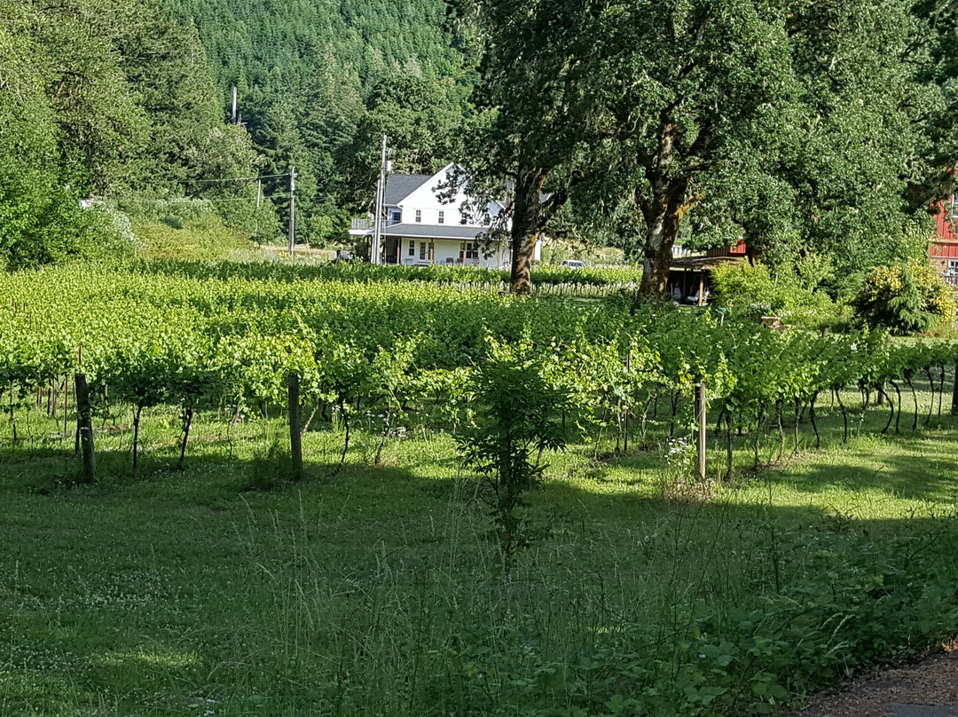 Harris Bridge Vineyard-Philomath必去景点