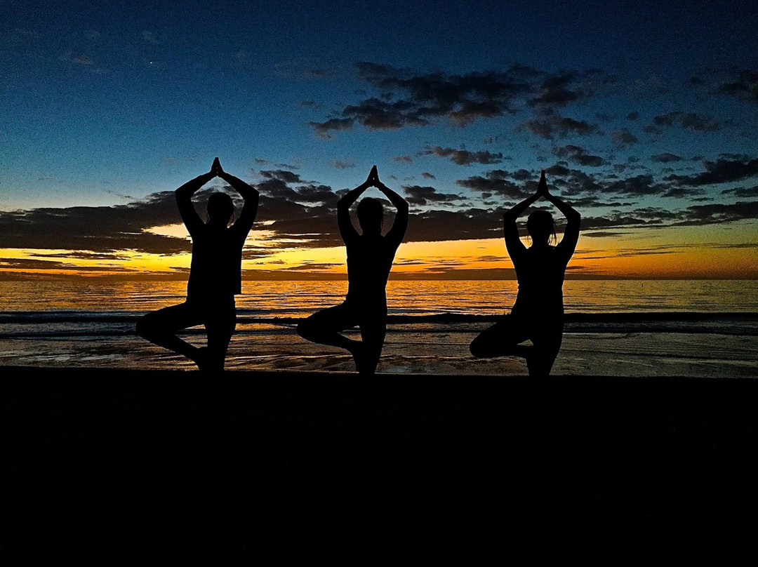 Beach Yoga Pinellas景点图片