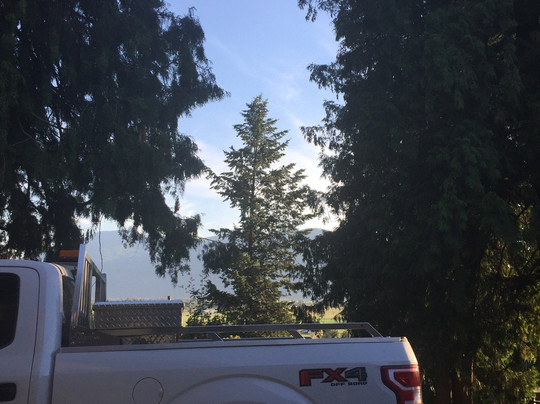 The Valley View主图