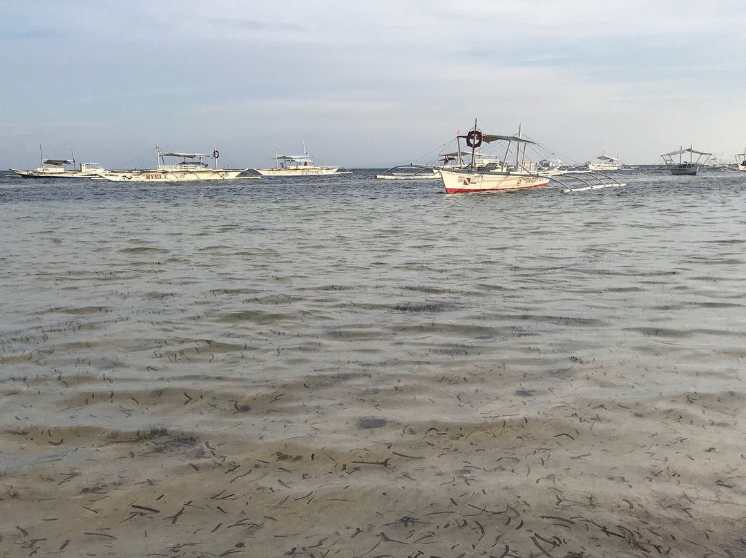 Calypso Resort主图