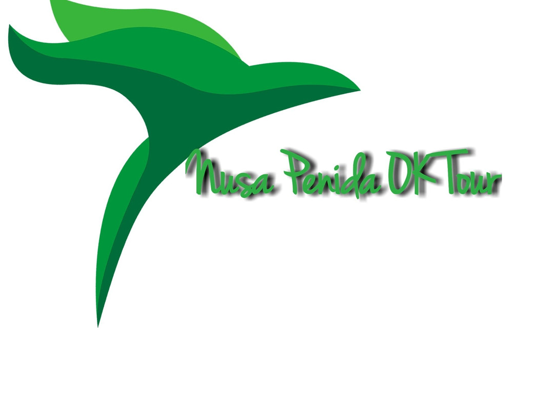 Nusa Penida OK Tour-沙努尔必去景点