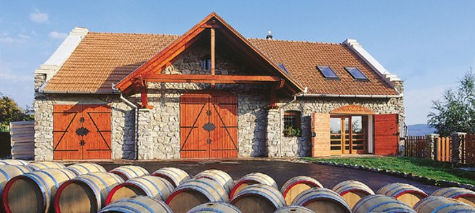 Bodnar Winery & Wine House景点图片