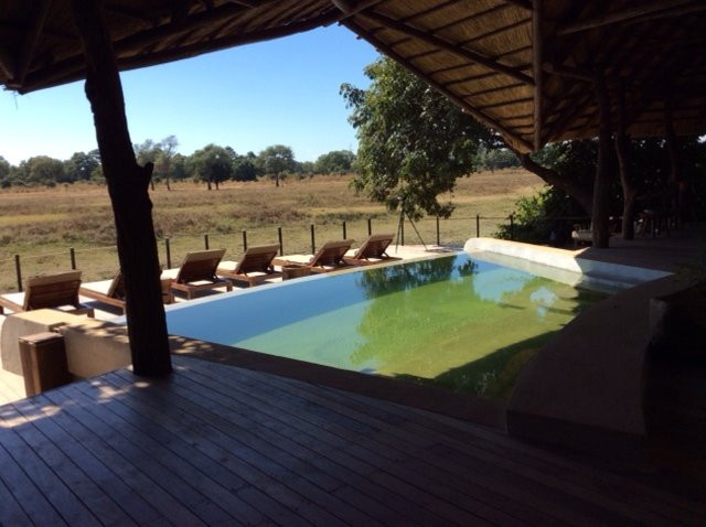 Lion Camp Safari Lodge主图