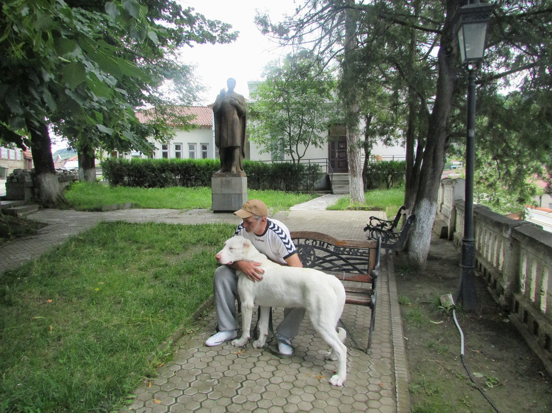 Monument to Solomon Dodashvili景点图片