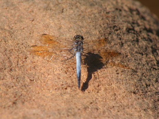 Kimberley 4x4 Tours-库努纳拉必去景点