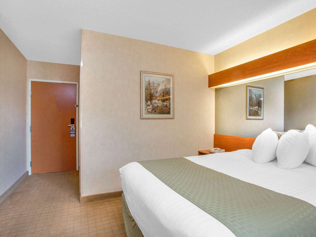 Microtel Inn & Suites by Wyndham Springville主图