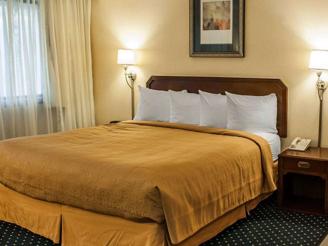 Quality Inn & Suites主图