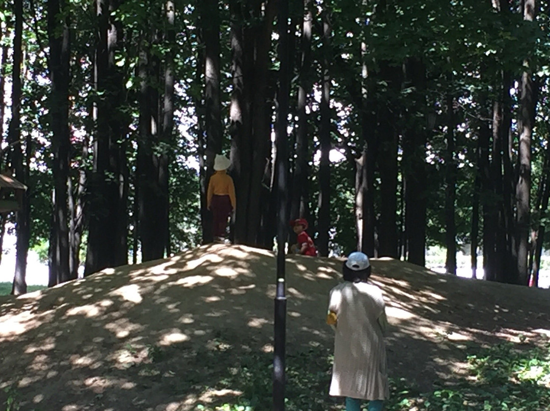 Hotel Bogorodskoe主图