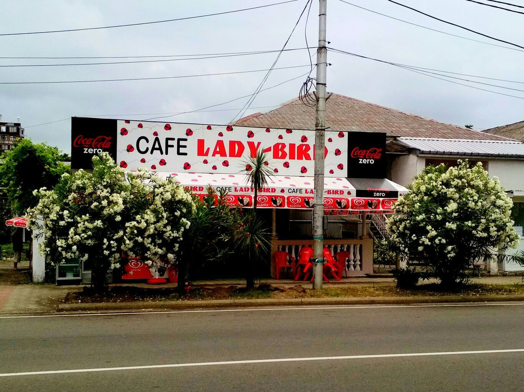 Lady Bird