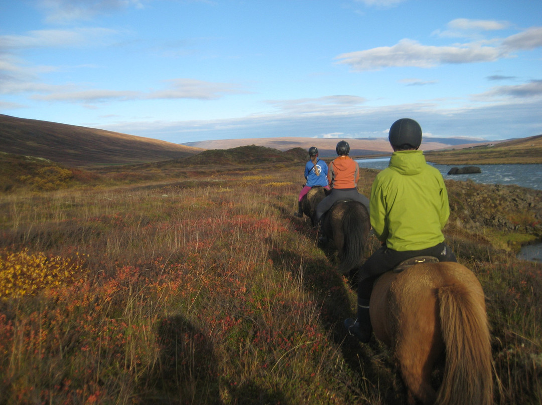 Eyjardalsa-胡萨维克必去景点