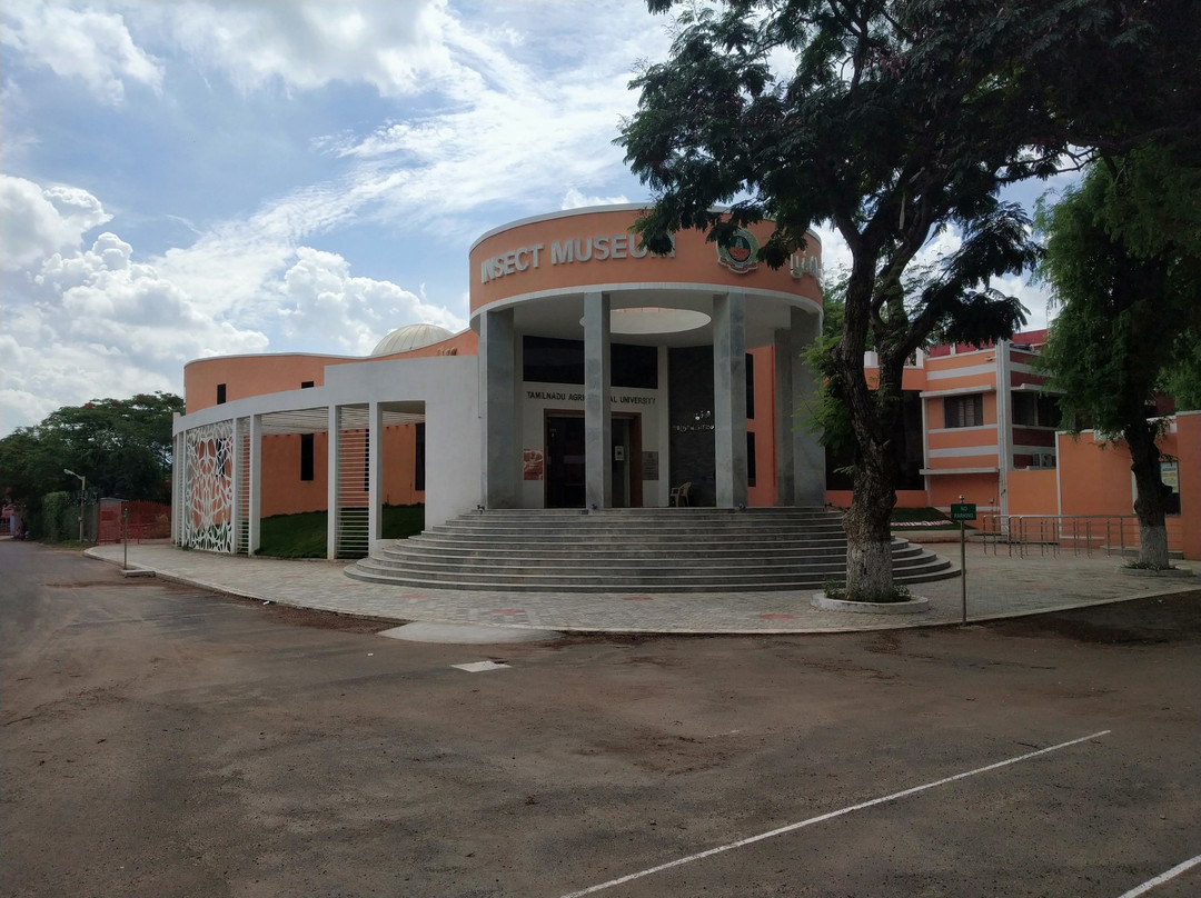 Insect Museum, TNAU景点图片