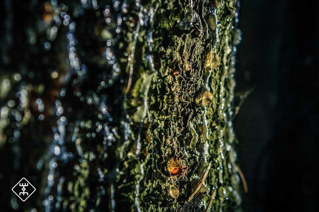 The Latvian Element-里加必去景点