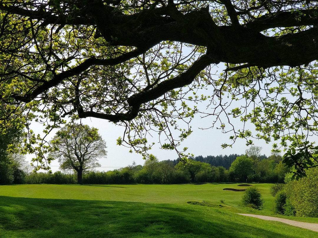 The Rushcliffe Golf Club景点图片