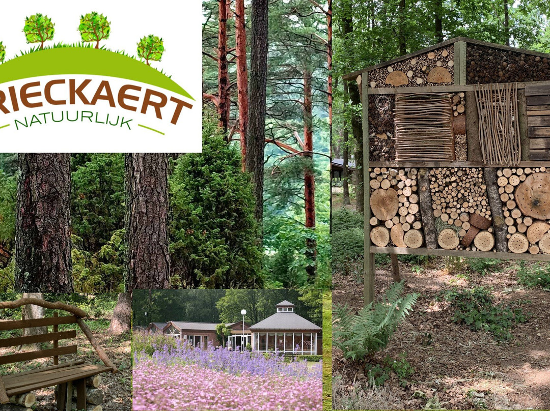 Natuurpark De Krieckaert