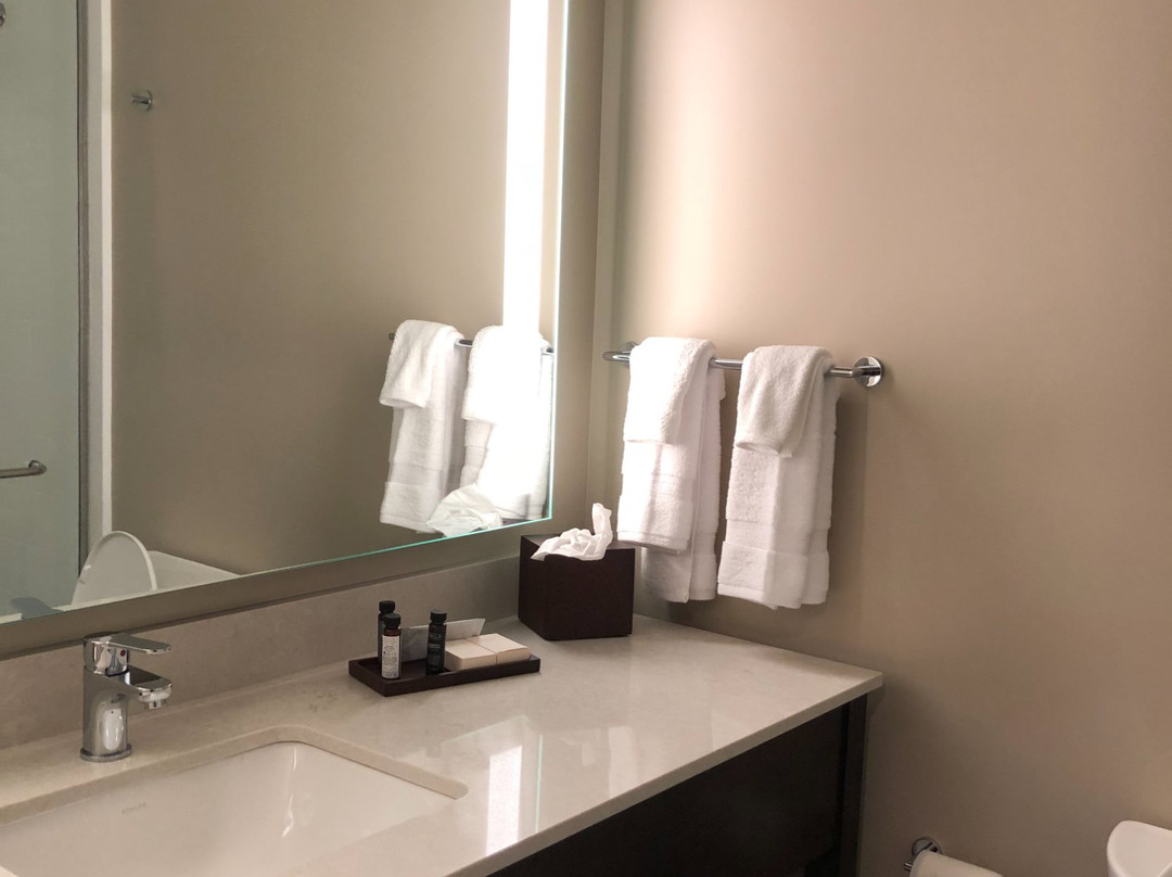 Hotel Madison & Shenandoah Conference Center主图