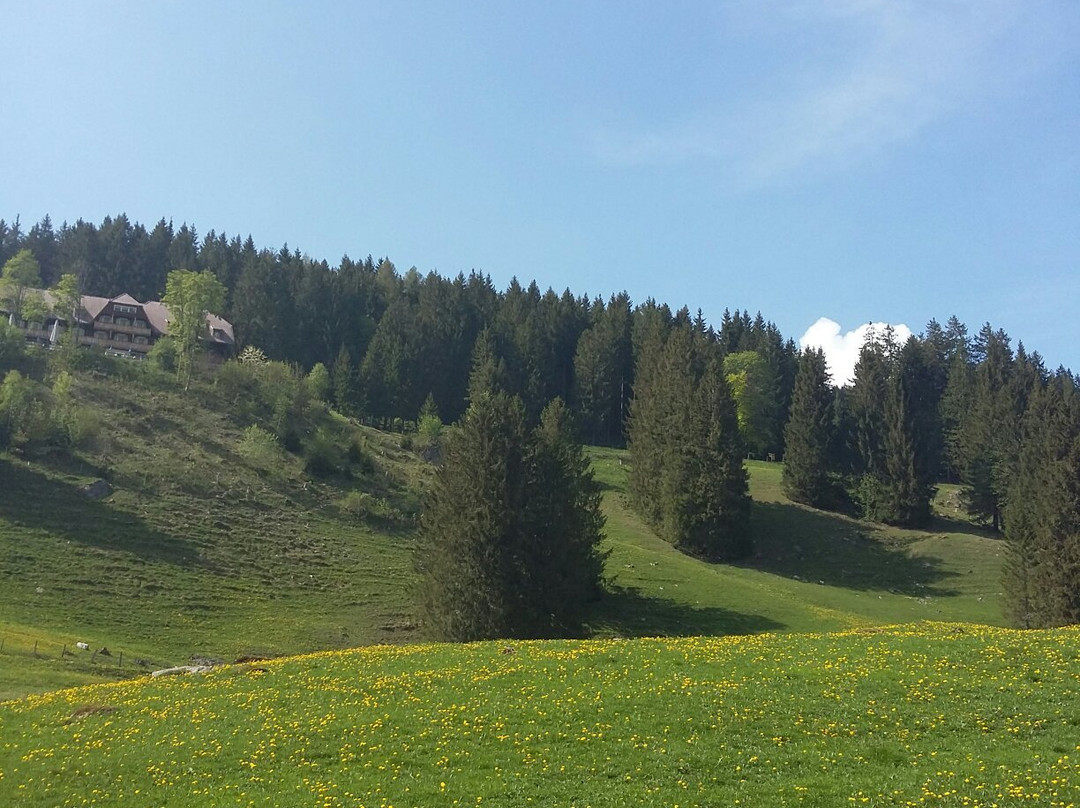 Voralpsee-Grabs必去景点