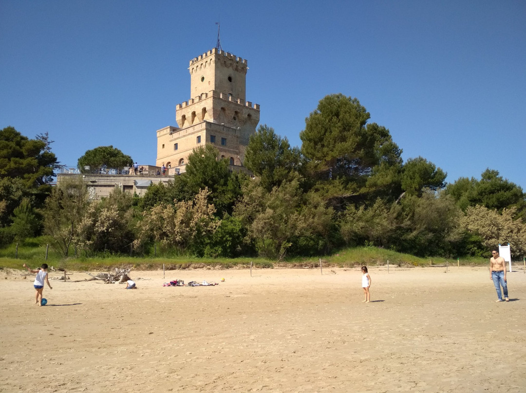 Pineto旅游景点-Torre del Cerrano