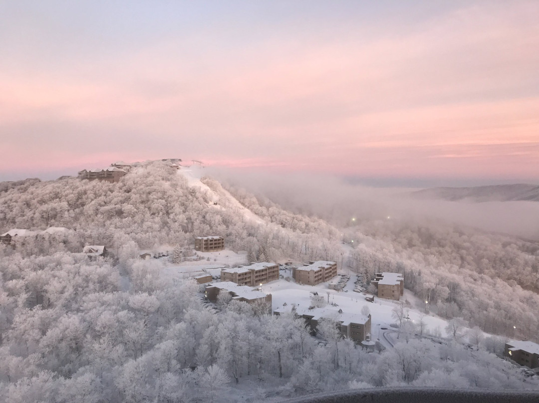 Sugartop Resort主图