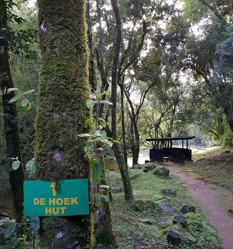 Magoebaskloof Hiking Trail-参宁必去景点