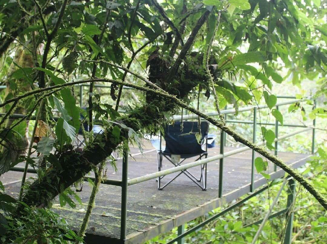 Finca Ceriana Nature Reserve景点图片