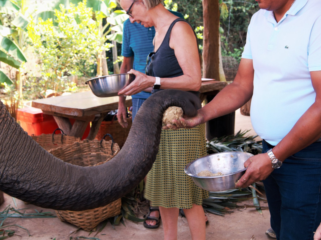 The Banana Orchard Project-北碧必去景点