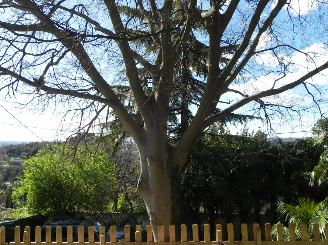 米里别墅酒店主图