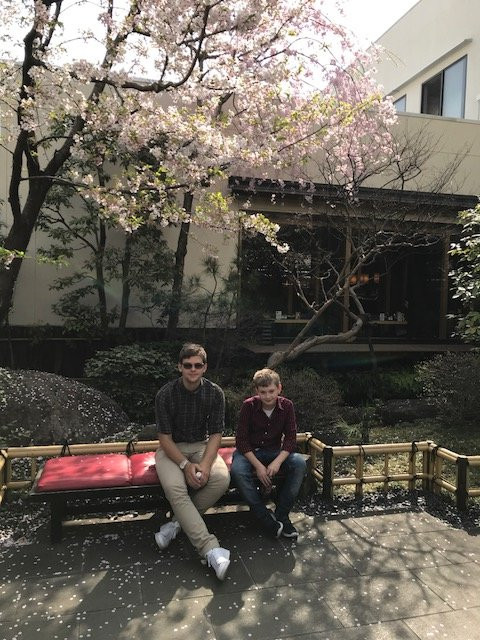 Tokyo Somei Spa Sakura景点图片