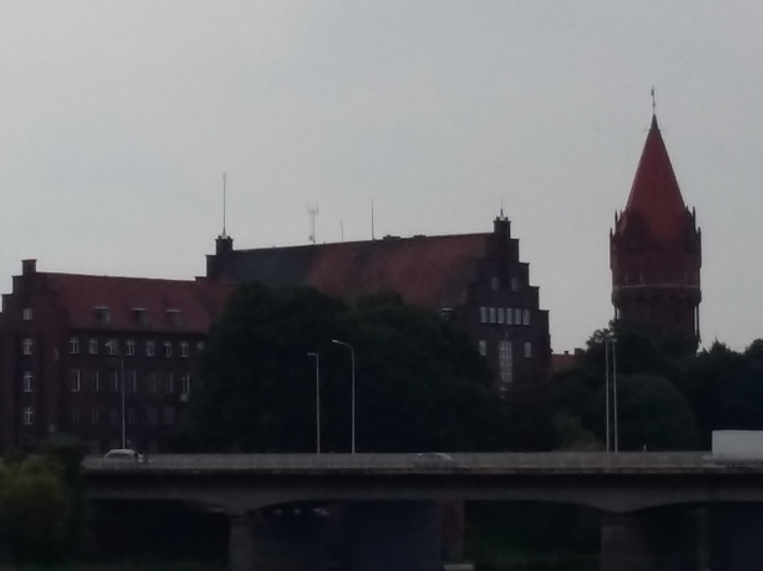 Malbork City Hall景点图片