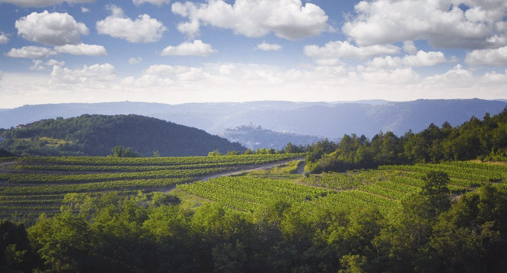 Benvenuti Winery-Motovun必去景点