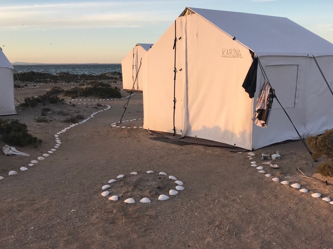 Baja Discovery-San Ignacio必去景点