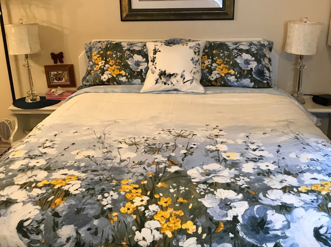 Apple Blossom Bed & Breakfast主图