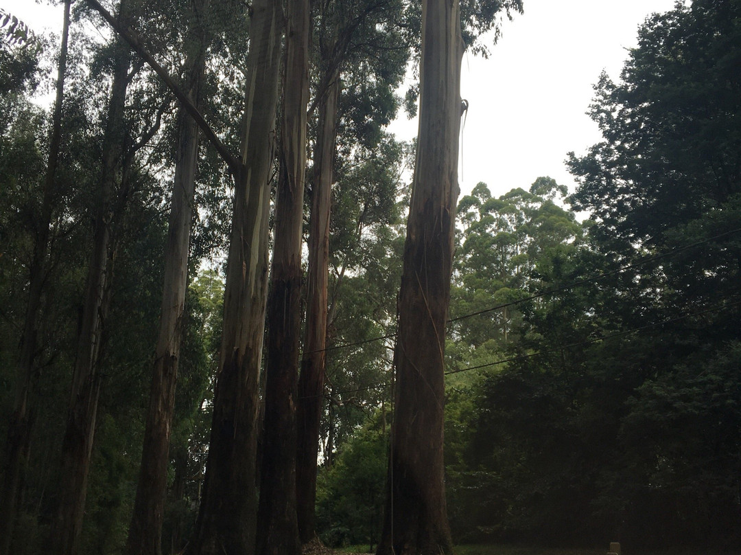 希尔布鲁克旅游攻略图片