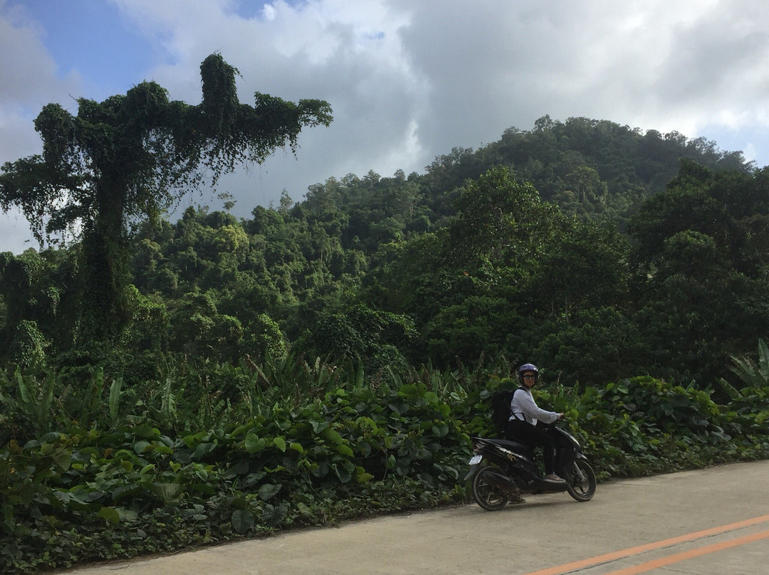 Rent-a-Bike Motorcycle Rental-公主港必去景点