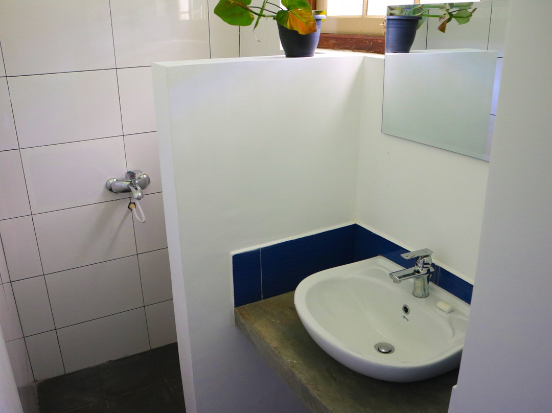 Pepper Tree Kandy主图