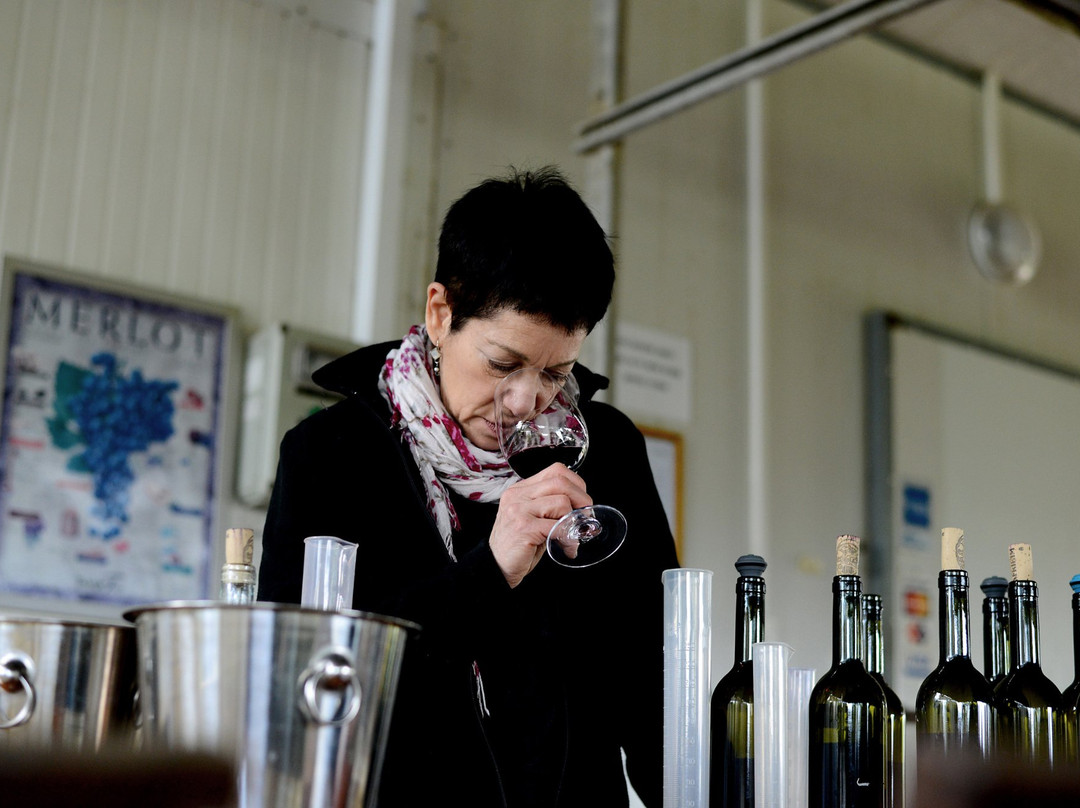 Zafririm Winery-Tsafririm必去景点