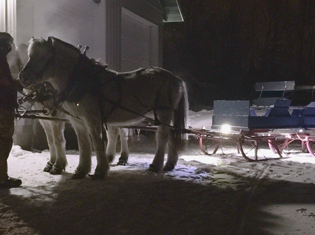 Sleighman-Ishpeming必去景点