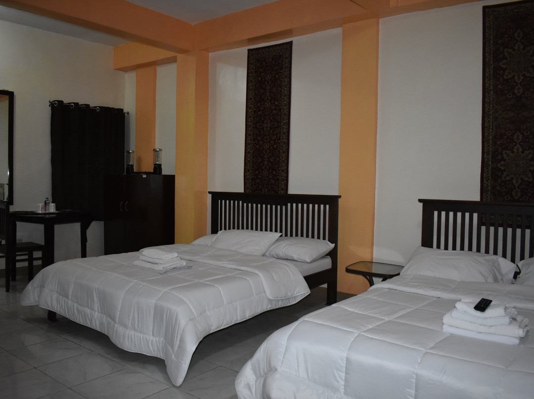 Nikita's Place Hotel主图