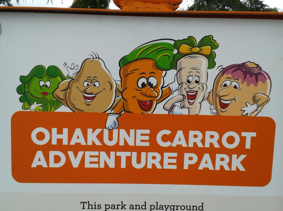 Ohakune Carrot Adventure Park景点图片