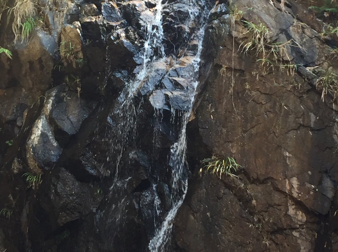 马峦山-深圳市必去景点