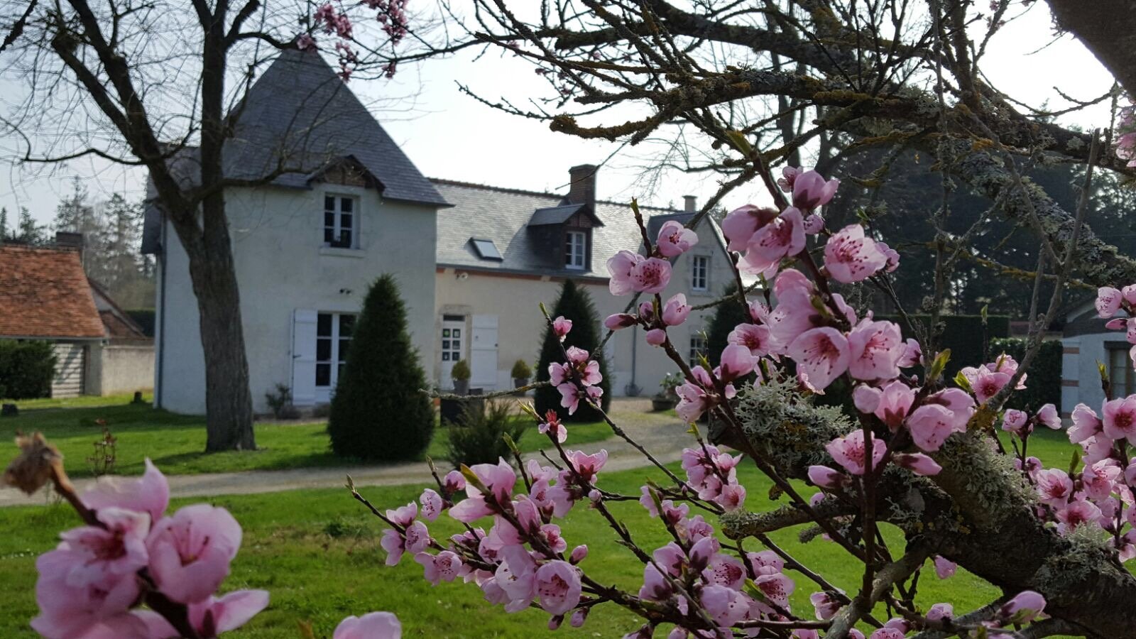 La Ferme des saules a Cheverny-官方