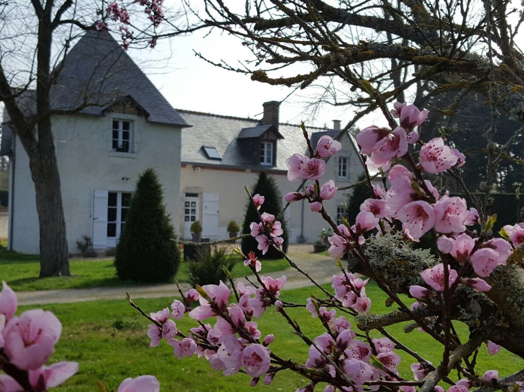 La Ferme des saules a Cheverny主图