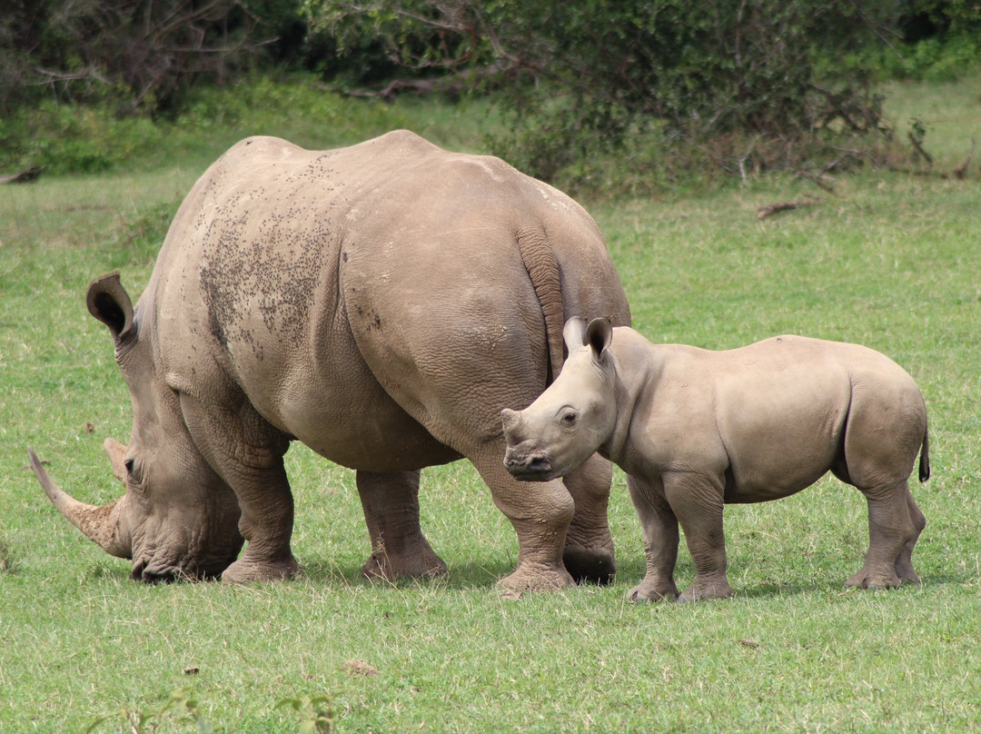 Central Province旅游景点-Solio Game Reserve