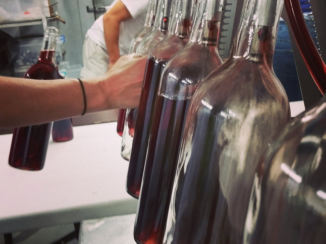 Twin Rivers Winery and Gourmet Shoppe-恩波里亚必去景点