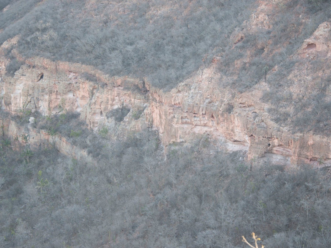 Mirante da Serra da Torre景点图片