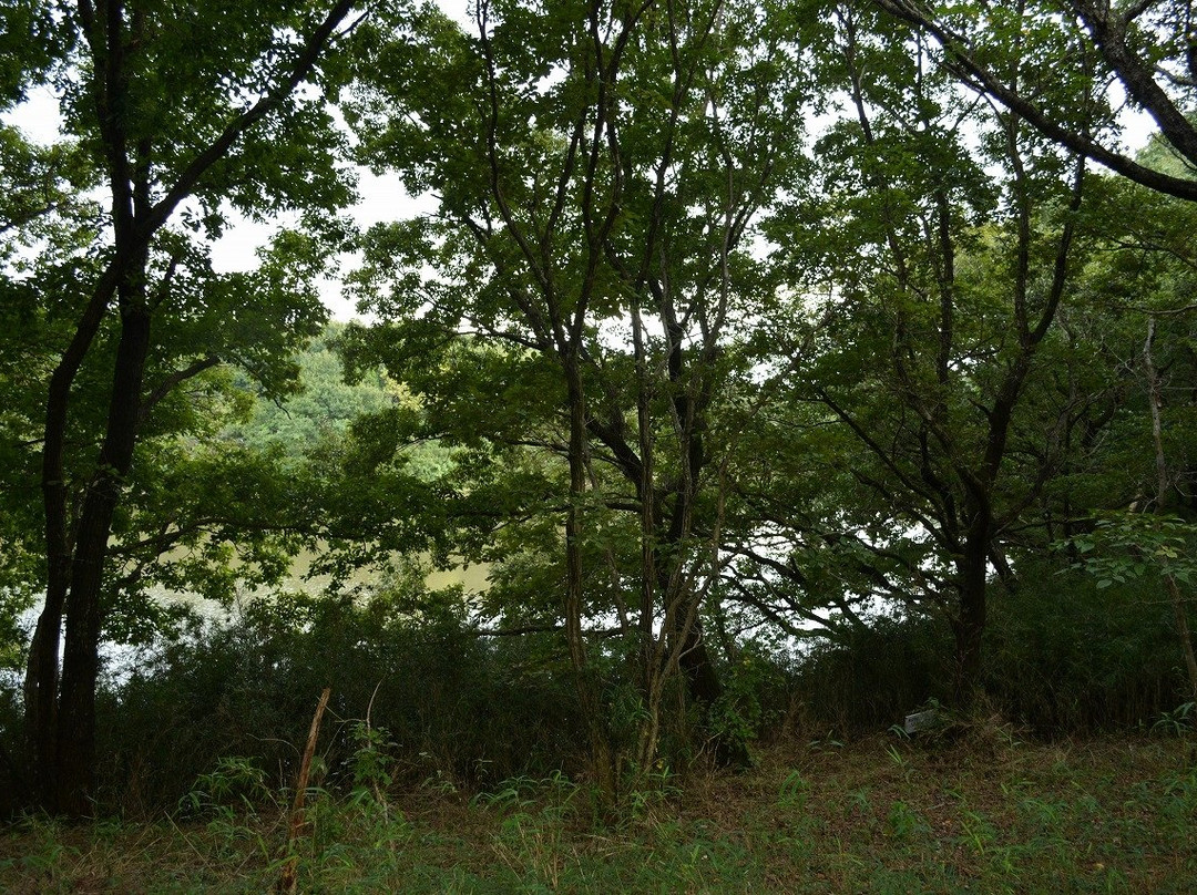 Hebinuma Park景点图片