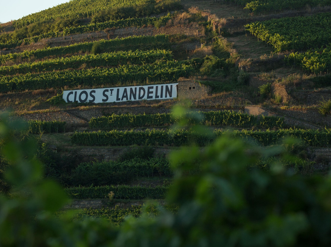 Domaine du Clos Saint Landelin  Véronique & Thomas Muré-Rouffach必去景点