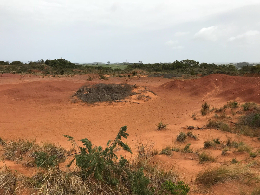 Red Desert-Port Edward必去景点