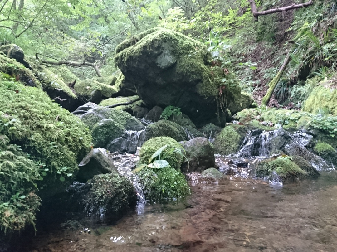 Ayahiro Falls-青梅市必去景点